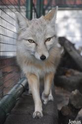 Dierentuin Animal Farm