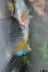 Jyllands Park Zoo