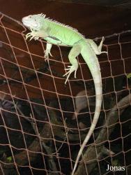 Zoo d'Amnéville