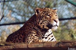 Zoo d'Amnéville