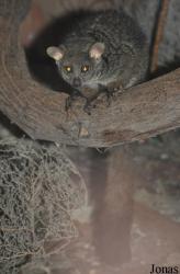 Al Ain Wildlife Park and Resort