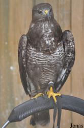 Zoo d'Amnéville