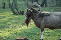 Neunkircher Zoologischer Garten