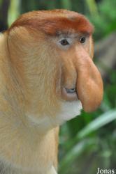Singapore Zoo