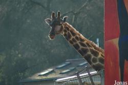 Neunkircher Zoologischer Garten