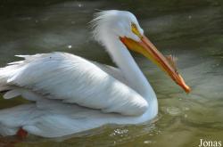 Jurong Bird Park