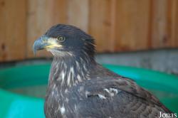 Neunkircher Zoologischer Garten