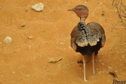 Al Ain Wildlife Park and Resort