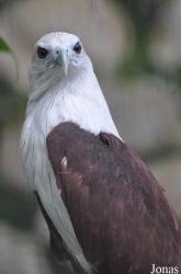 Jurong Bird Park