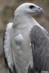 Jurong Bird Park