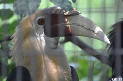 Jurong Bird Park