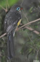 Jurong Bird Park
