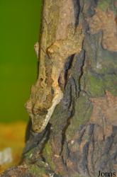 Butterfly Park & Insect Kingdom