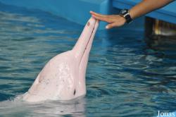 Underwater World Singapore