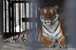 Zoo Negeri Johor