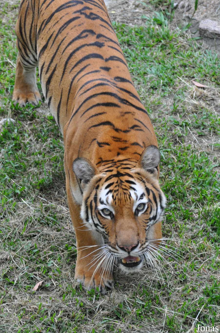 Zoo Negeri Johor