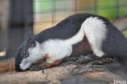 Zoo Negeri Johor