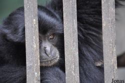 Zoo Negeri Johor