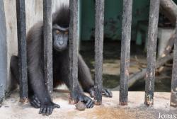 Zoo Negeri Johor