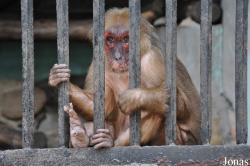 Zoo Negeri Johor