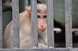 Zoo Negeri Johor
