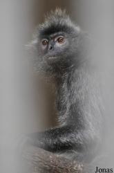 Zoo Negeri Johor