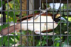 Zoo Negeri Johor