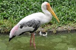 Zoo Negeri Johor