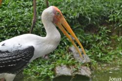 Zoo Negeri Johor
