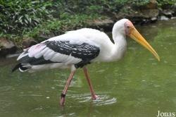 Zoo Negeri Johor