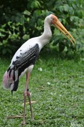 Zoo Negeri Johor