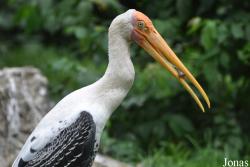 Zoo Negeri Johor