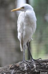 Zoo Negeri Johor