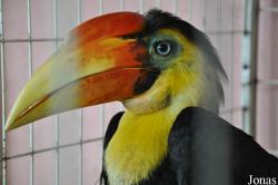 Zoo Negeri Johor