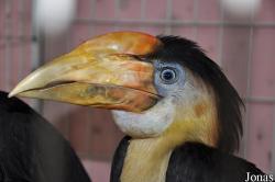 Zoo Negeri Johor