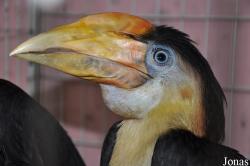 Zoo Negeri Johor