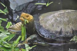 Taman Rama-Rama & Reptilia Melaka