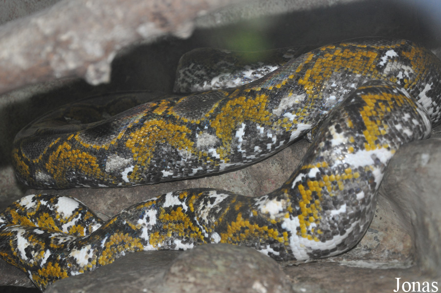 Taman Rama-Rama & Reptilia Melaka