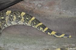 Taman Rama-Rama & Reptilia Melaka