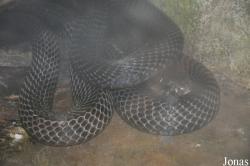 Taman Rama-Rama & Reptilia Melaka