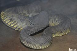 Taman Rama-Rama & Reptilia Melaka