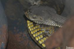 Taman Rama-Rama & Reptilia Melaka