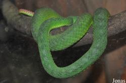 Taman Rama-Rama & Reptilia Melaka