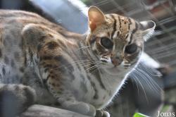 Zoo Melaka
