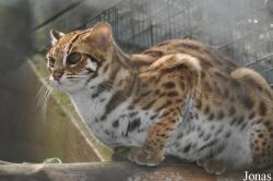Zoo Melaka