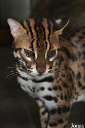 Zoo Melaka