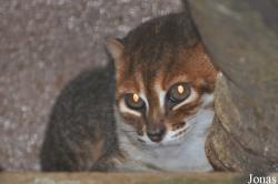 Zoo Melaka