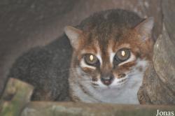 Zoo Melaka