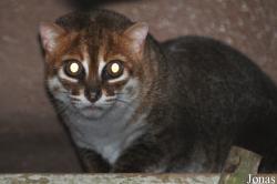 Zoo Melaka