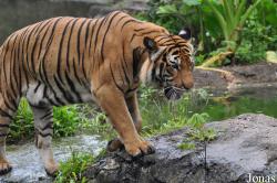 Zoo Melaka